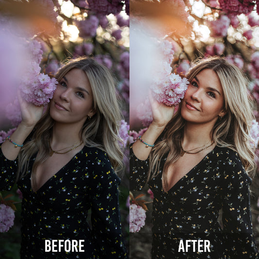 Signature Presets by Denise Hesmer